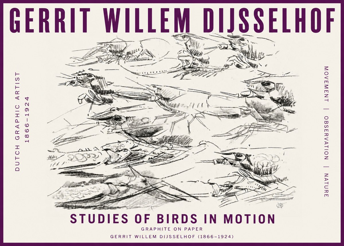 Gerrit Willem Dijsselhof Studies of Birds in Motion No5 - Póster