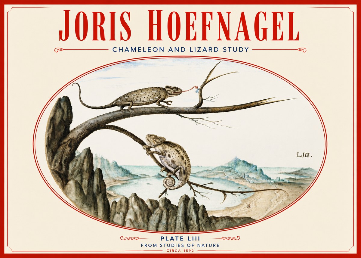 Joris Hoefnagel Chameleon and Lizard No4 - Póster
