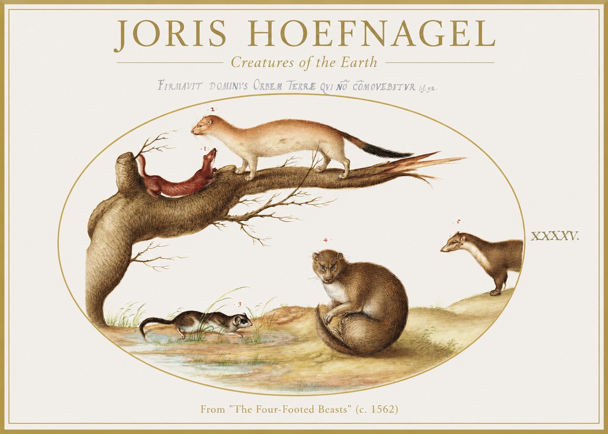 Joris Hoefnagel Creatures of the Earth I No1 - Póster