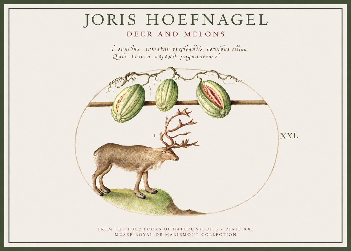 Joris Hoefnagel Arctic Nature Study No4 - Póster