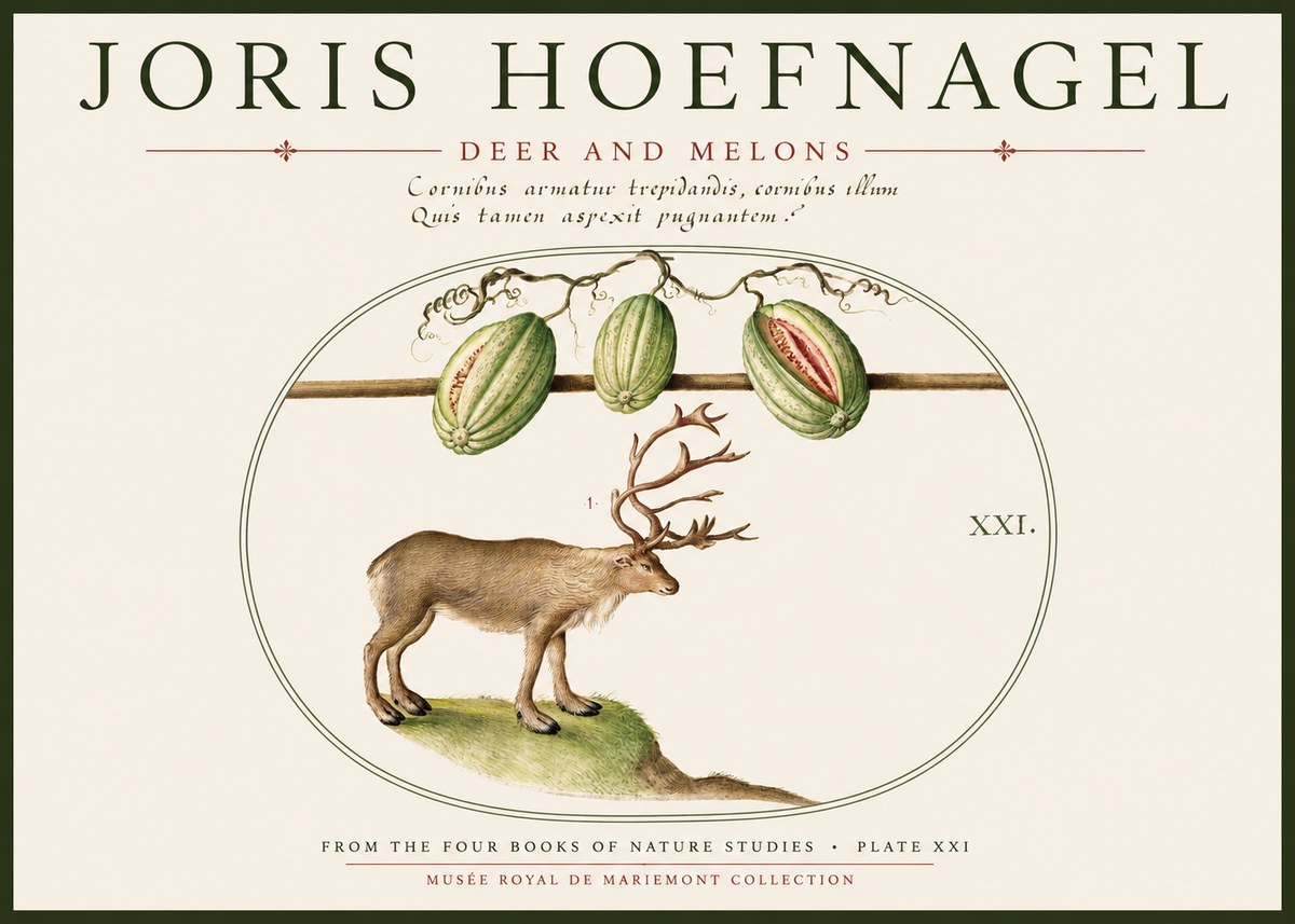 Joris Hoefnagel Arctic Nature Study No6 - Póster