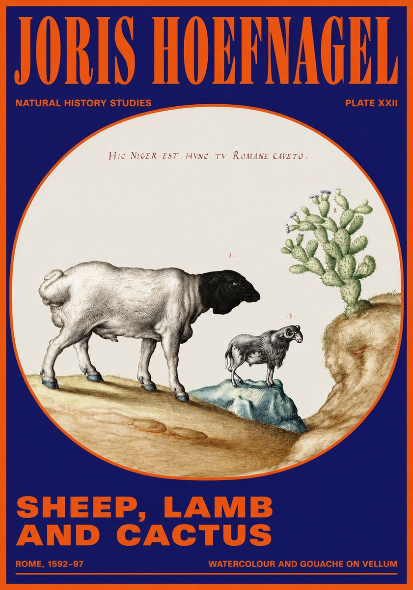 Joris Hoefnagel Sheep and Lamb with Flowering Cactus No5 - Póster