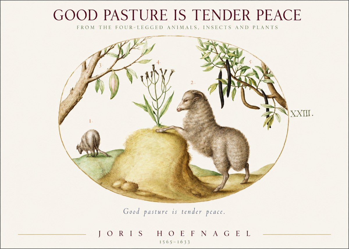 Joris Hoefnagel Good Pasture Is Tender Peace. No1 - Póster
