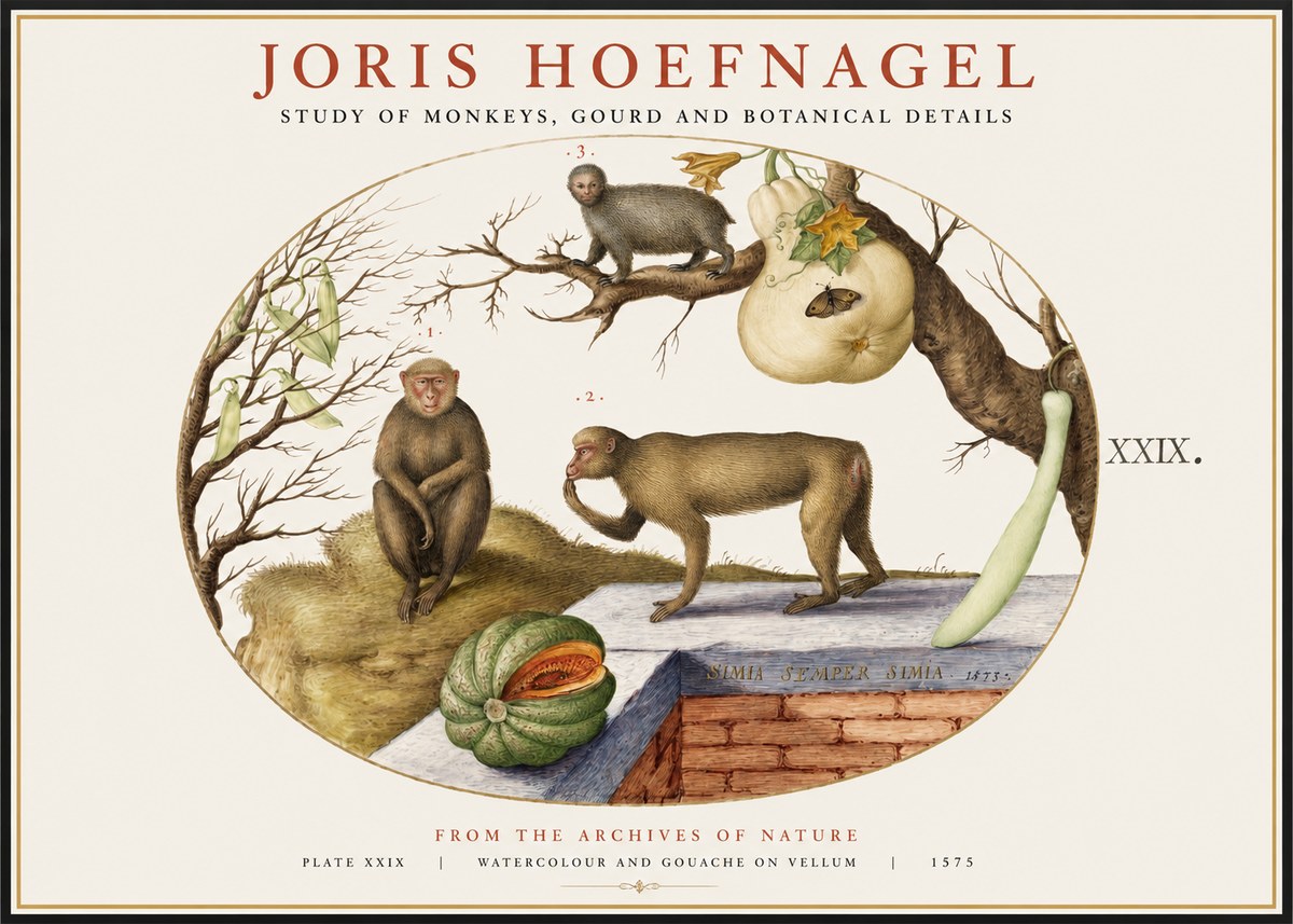 Joris Hoefnagel But Always a Monkey, Always a Monkey. Plate Xxix No2 - Póster