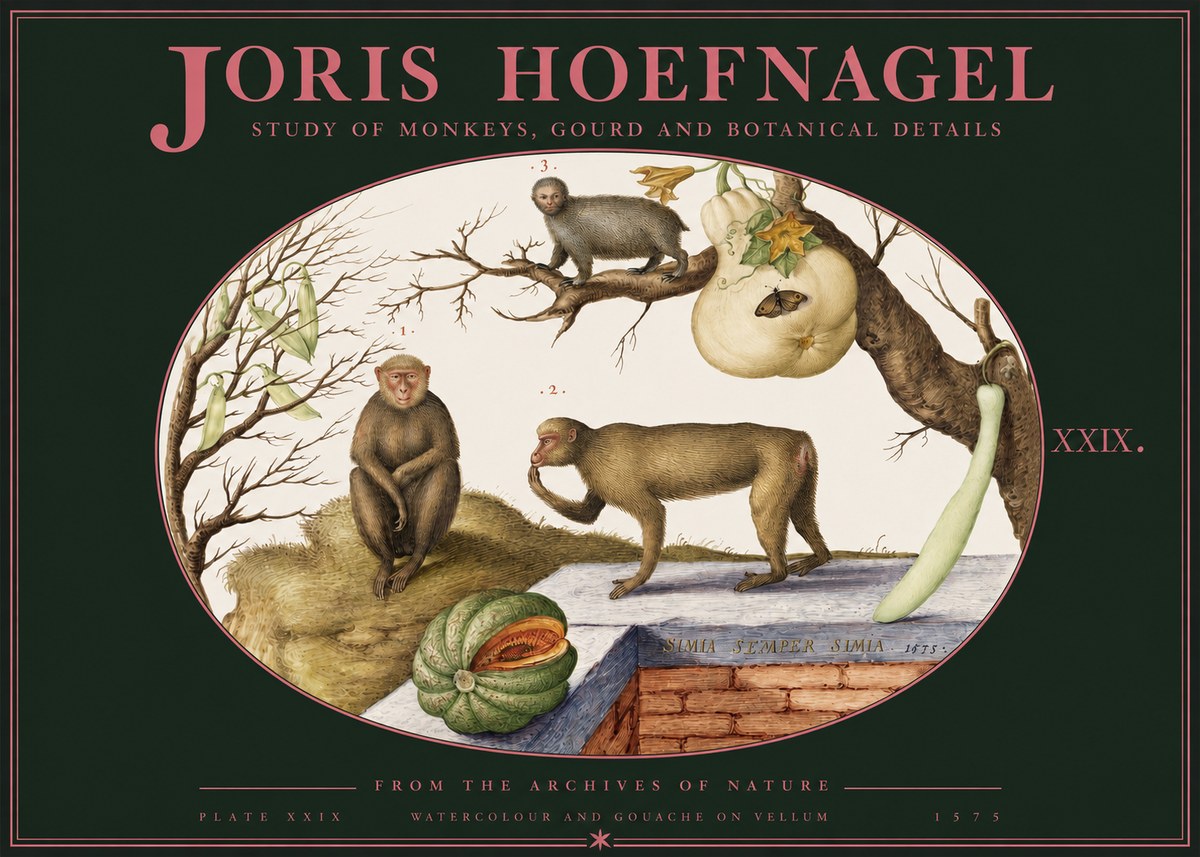 Joris Hoefnagel But Always a Monkey, Always a Monkey. Plate Xxix No3 - Póster