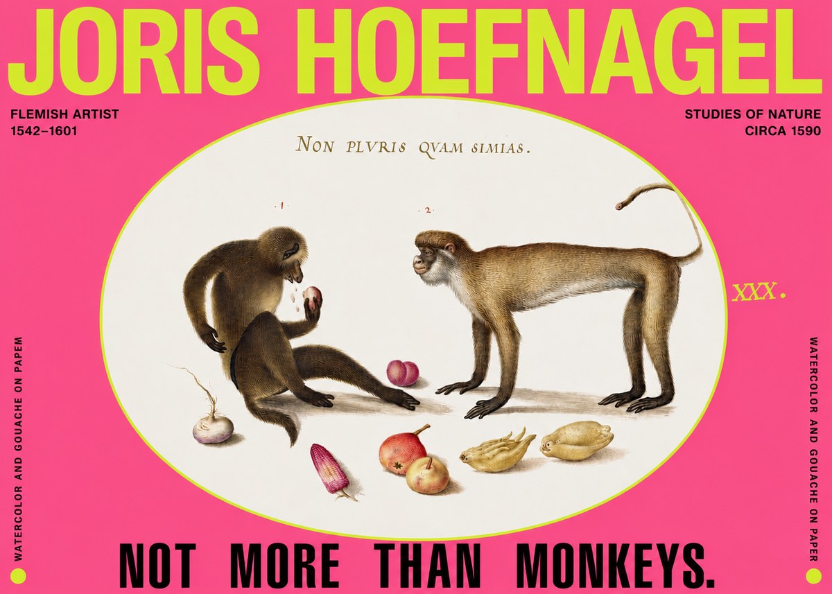 Joris Hoefnagel Not More Than Monkeys No2 - Póster