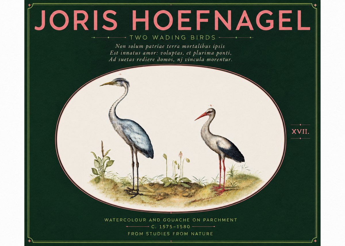 Joris Hoefnagel Study of Two Cranes No6 - Póster