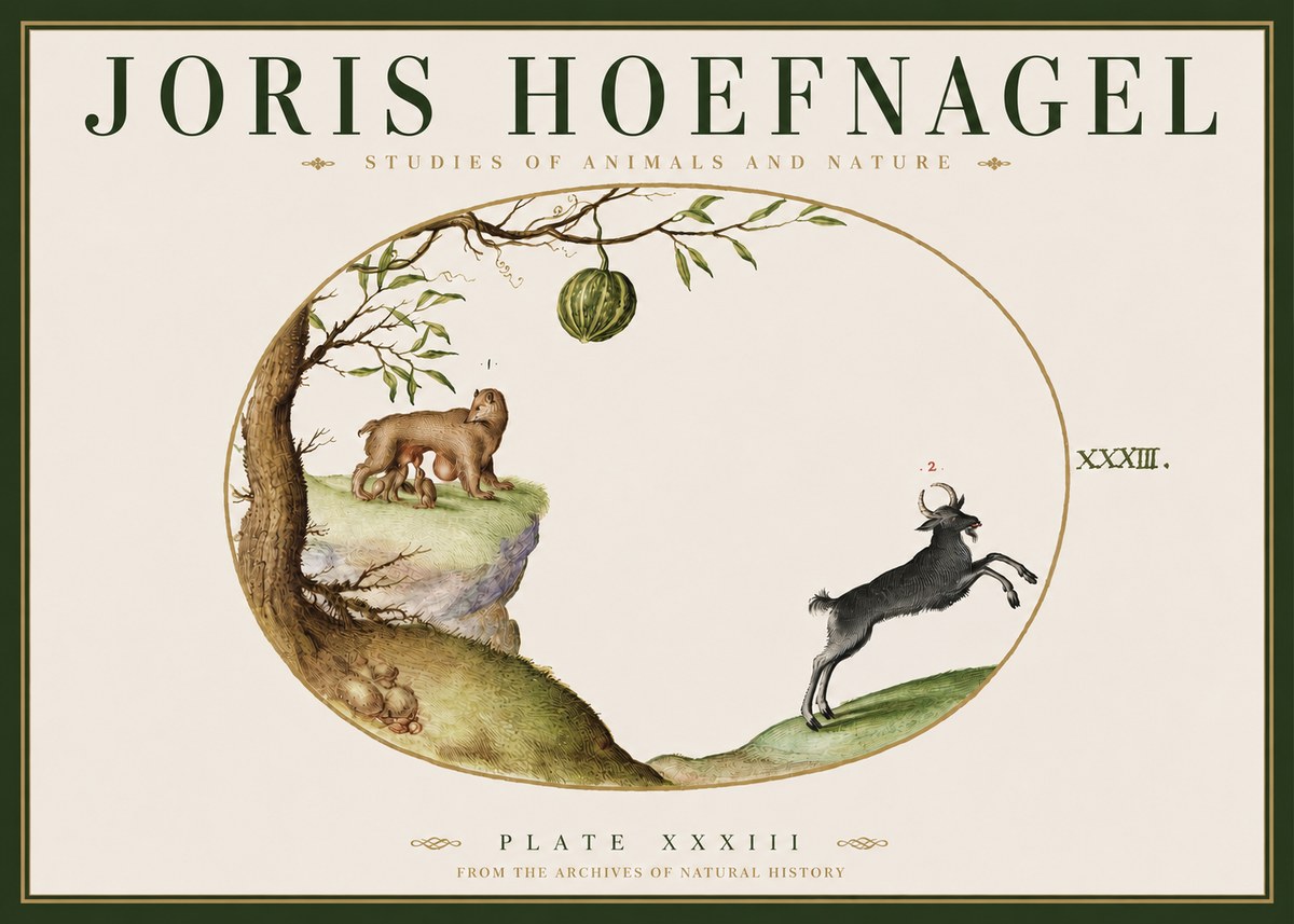 Joris Hoefnagel Plate Xxxiii No3 - Póster