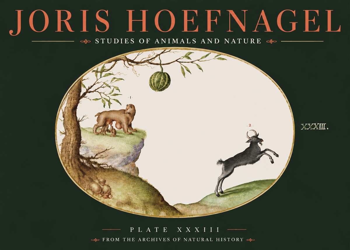 Joris Hoefnagel Plate Xxxiii No4 - Póster