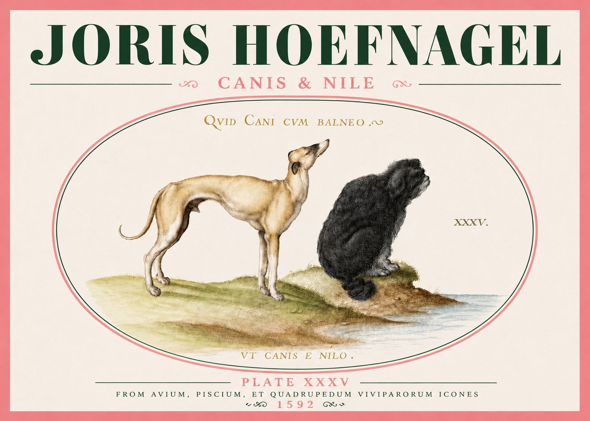 Joris Hoefnagel Neither Can a Dog Live in Baths No6 - Póster