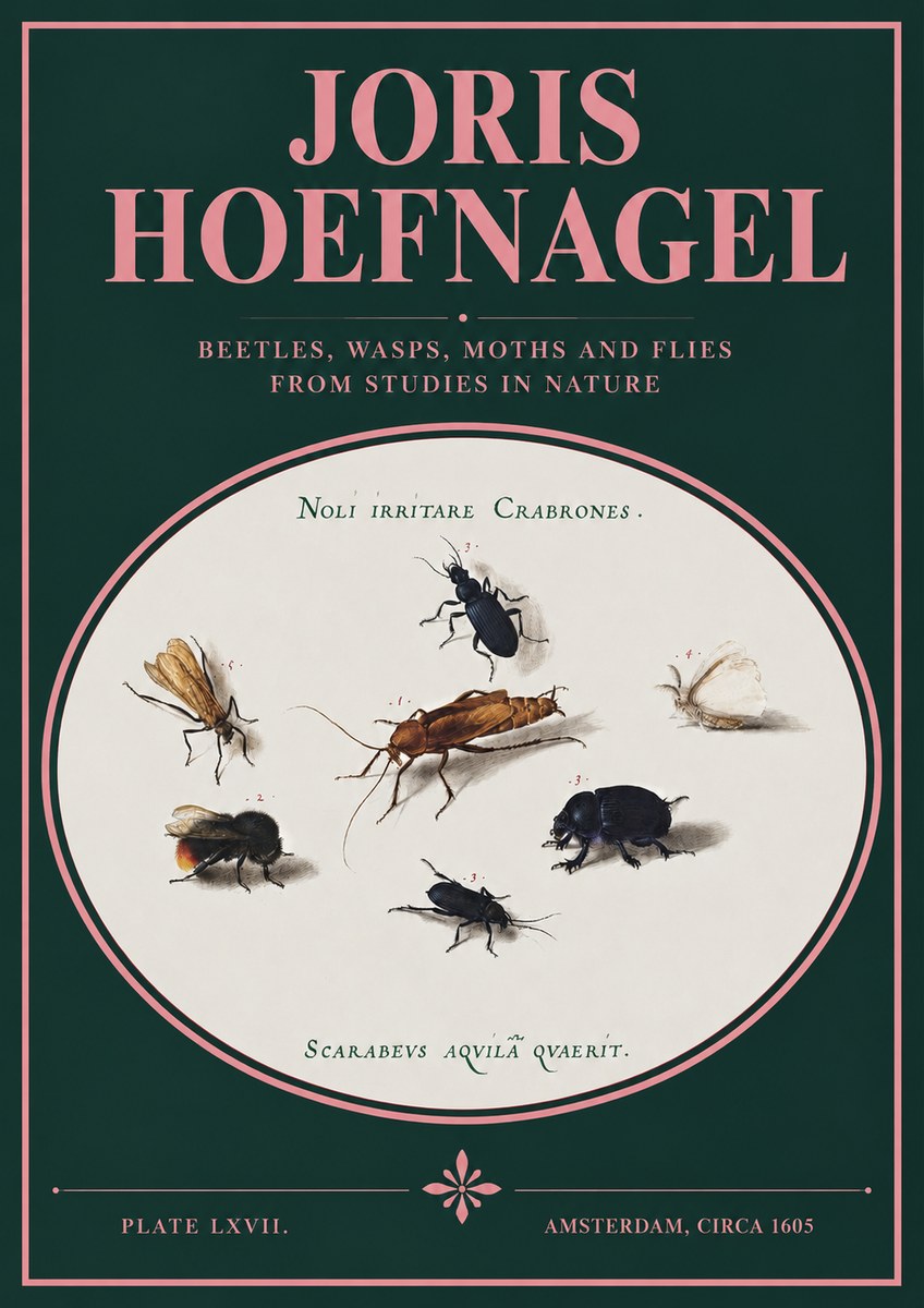 Joris Hoefnagel Scarabeus Aqvilä Qvaerit. No3 - Póster