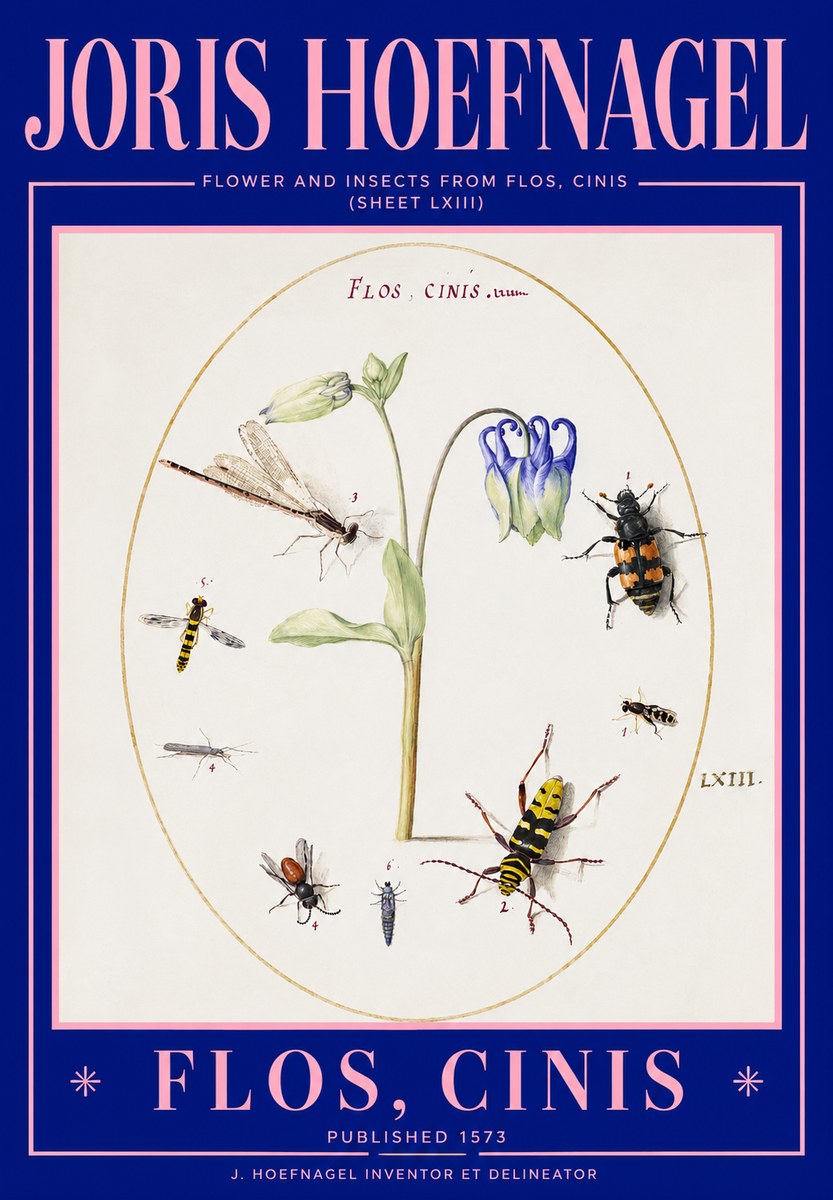Joris Hoefnagel Insects and a Flower Study No3 - Póster