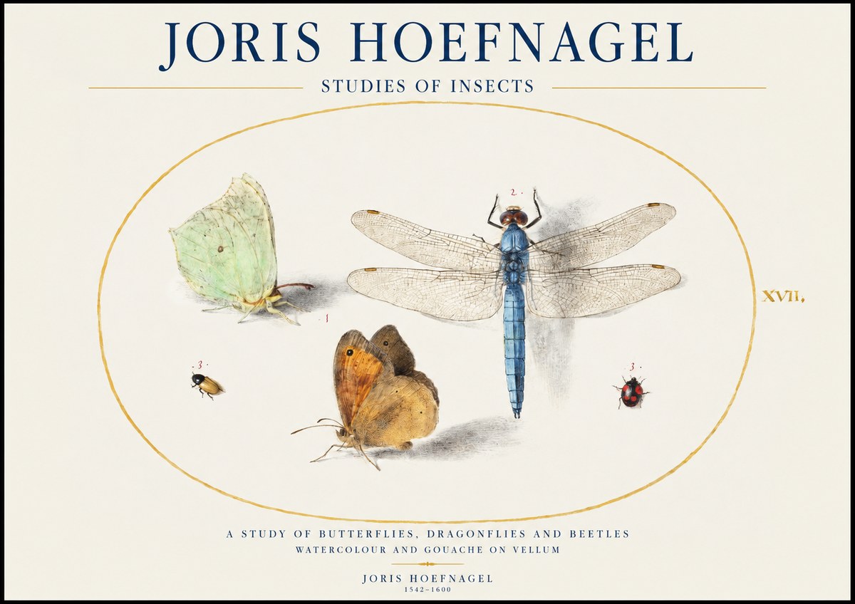 Joris Hoefnagel A Study of Butterflies, Dragonflies and Beetles No1 - Póster