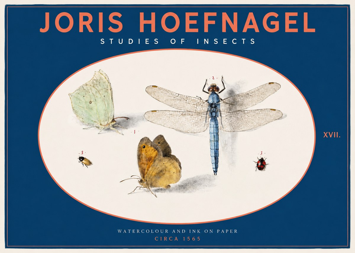Joris Hoefnagel A Study of Butterflies, Dragonflies and Beetles No3 - Póster