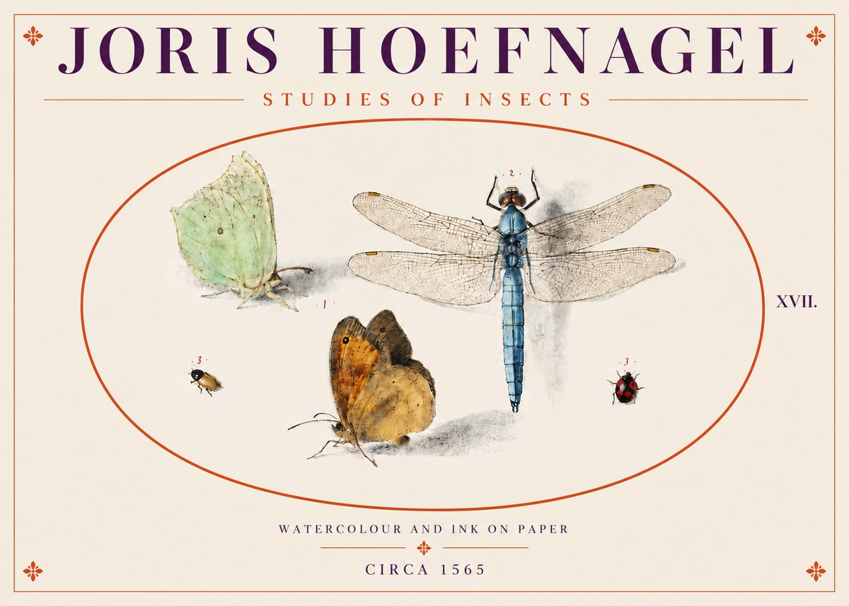 Joris Hoefnagel A Study of Butterflies, Dragonflies and Beetles No5 - Póster
