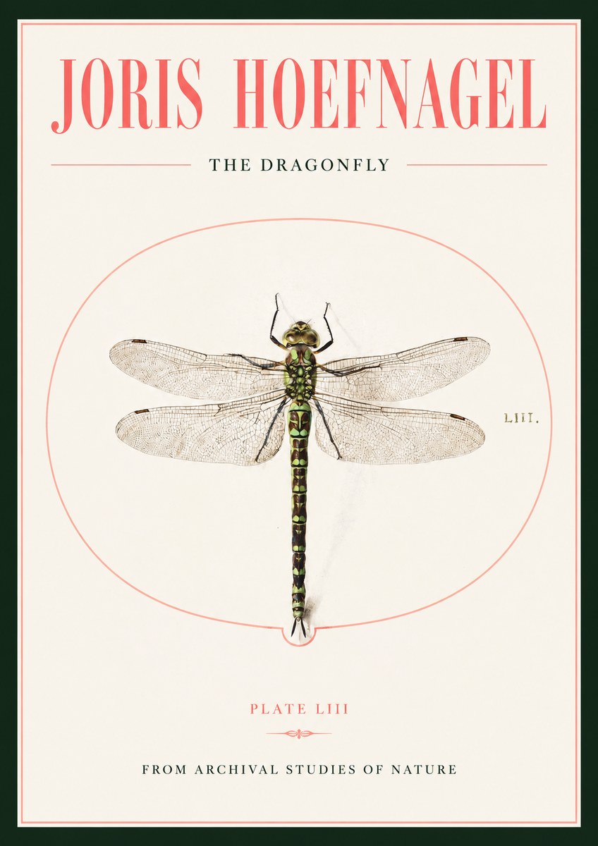 Joris Hoefnagel The Dragonfly No2 - Póster