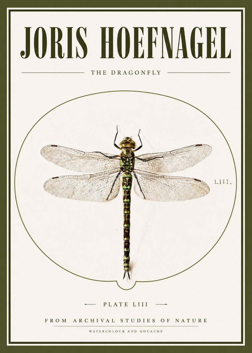 Joris Hoefnagel The Dragonfly No3 - Póster