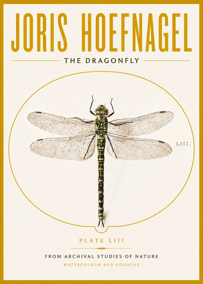 Joris Hoefnagel The Dragonfly No4 - Póster