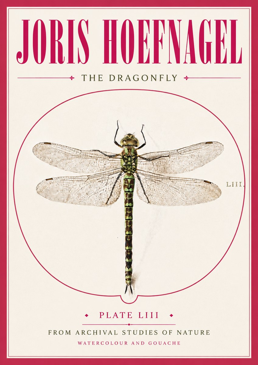 Joris Hoefnagel The Dragonfly No5 - Póster