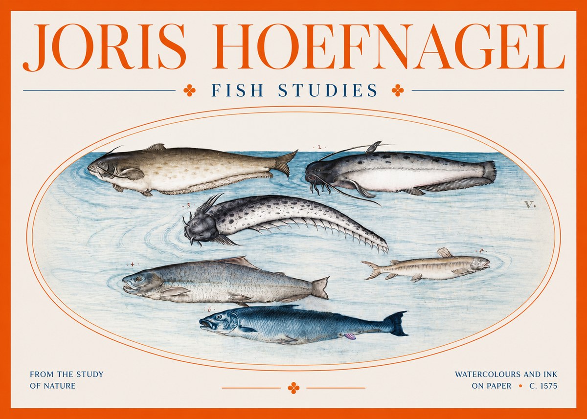 Joris Hoefnagel Fish of the Waters No3 - Póster
