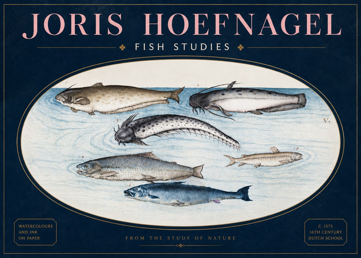 Joris Hoefnagel Fish of the Waters No4 - Póster