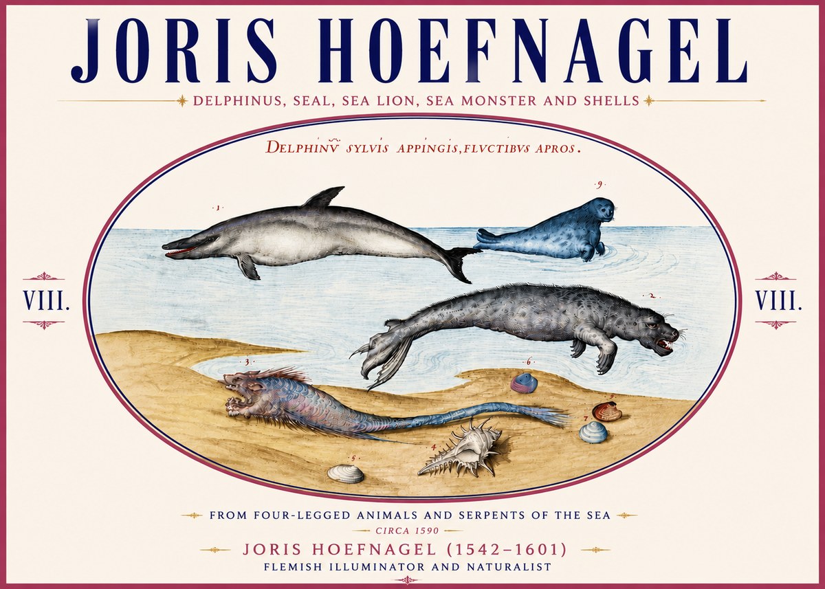 Joris Hoefnagel Delphinus, Seal, Sea Lion, Sea Monster and Shells No6 - Póster