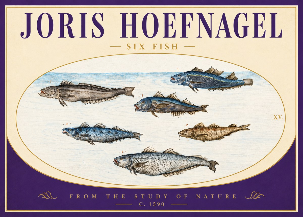 Joris Hoefnagel Six Fish No4 - Póster