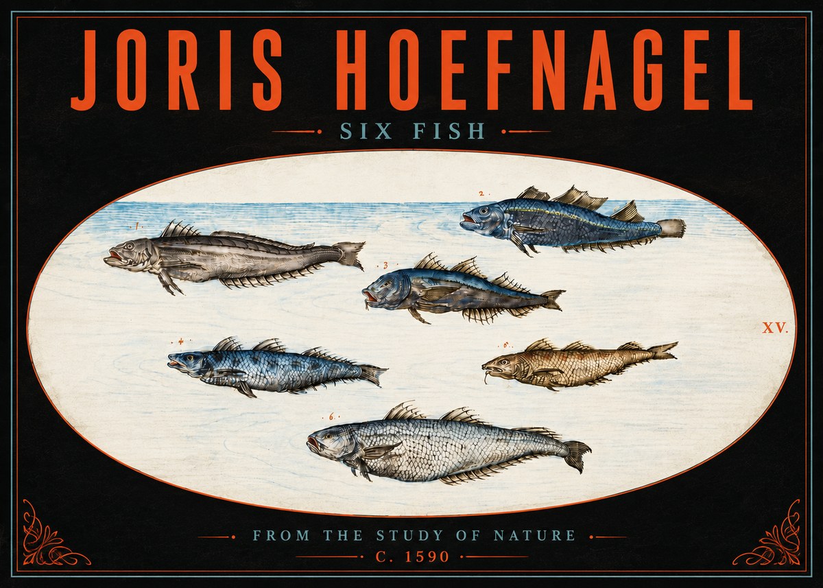 Joris Hoefnagel Six Fish No5 - Póster
