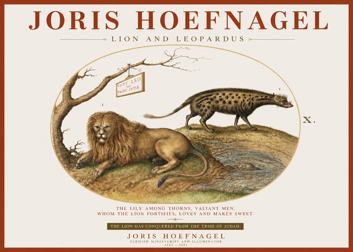 Joris Hoefnagel Lion and Spotted Hyena No4 - Póster