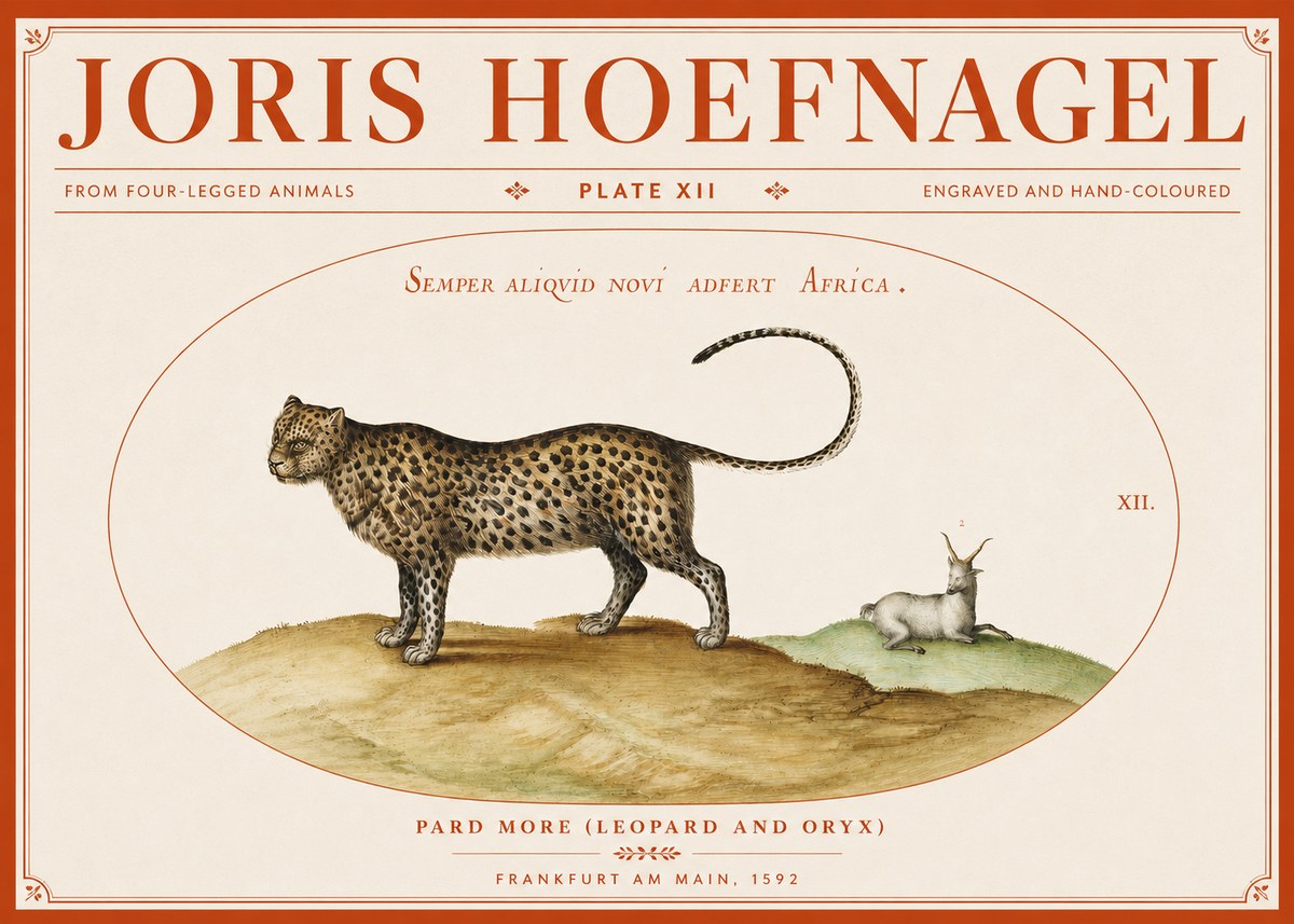 Joris Hoefnagel Pard More (Leopard and Oryx) No3 - Póster