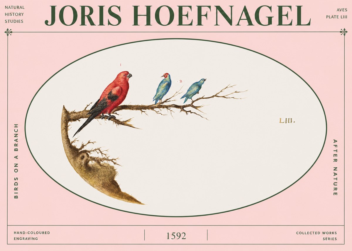 Joris Hoefnagel Birds on a Branch No4 - Póster