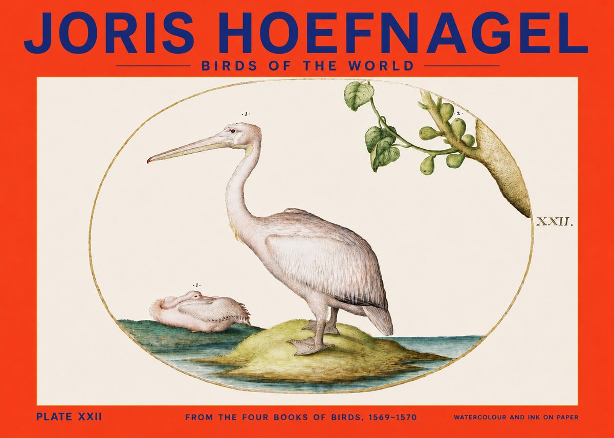 Joris Hoefnagel Plate Xxii No4 - Póster