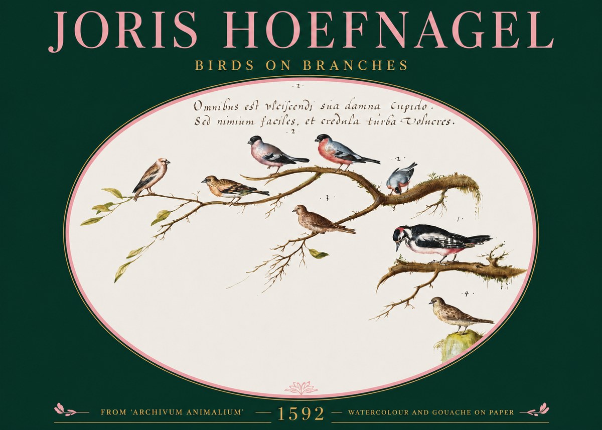 Joris Hoefnagel Birds on Branches No2 - Póster