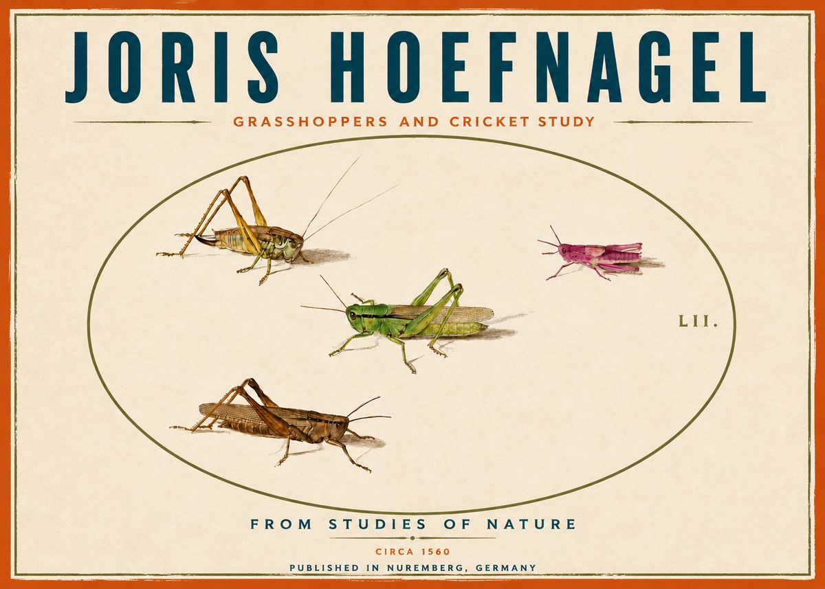 Joris Hoefnagel Three Grasshoppers and a Locust No6 - Póster