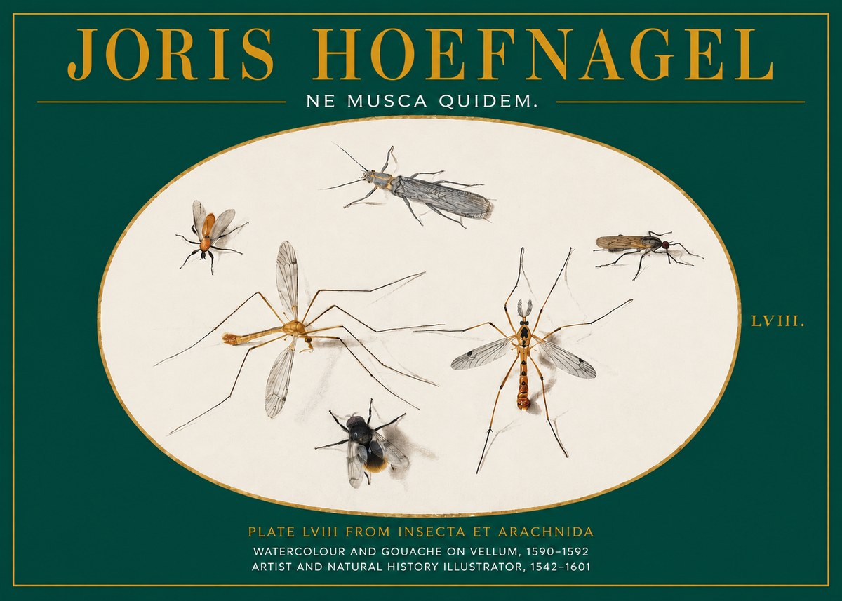 Joris Hoefnagel Plate Lviii from Insecta Et Arachnida No2 - Póster