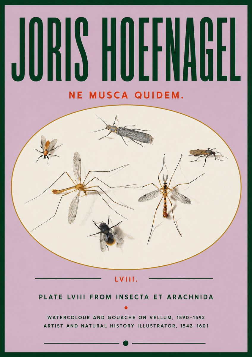 Joris Hoefnagel Plate Lviii from Insecta Et Arachnida No4 - Póster
