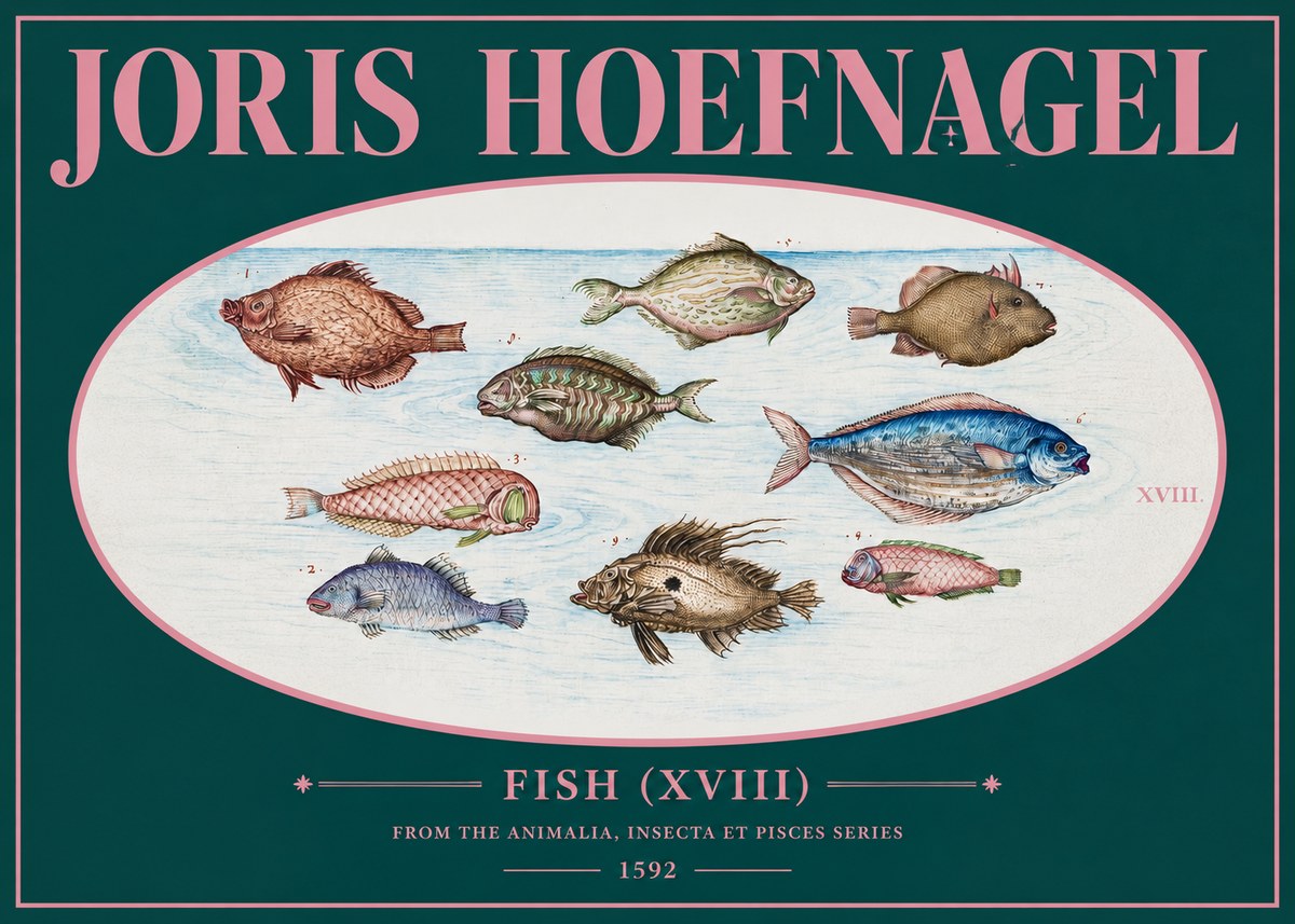 Joris Hoefnagel Studies of Fish I No3 - Póster
