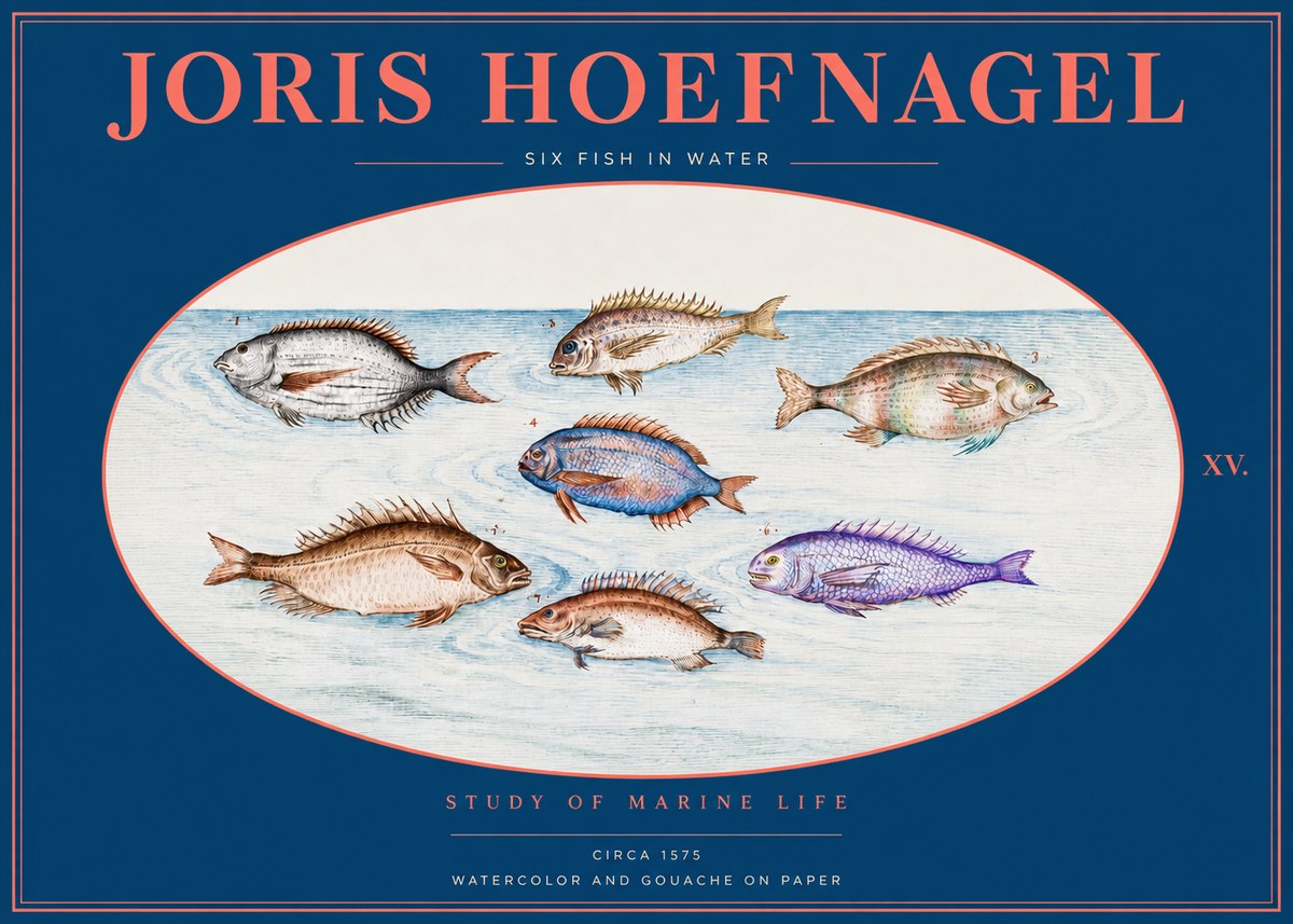 Joris Hoefnagel Six Fish in Water No2 - Póster