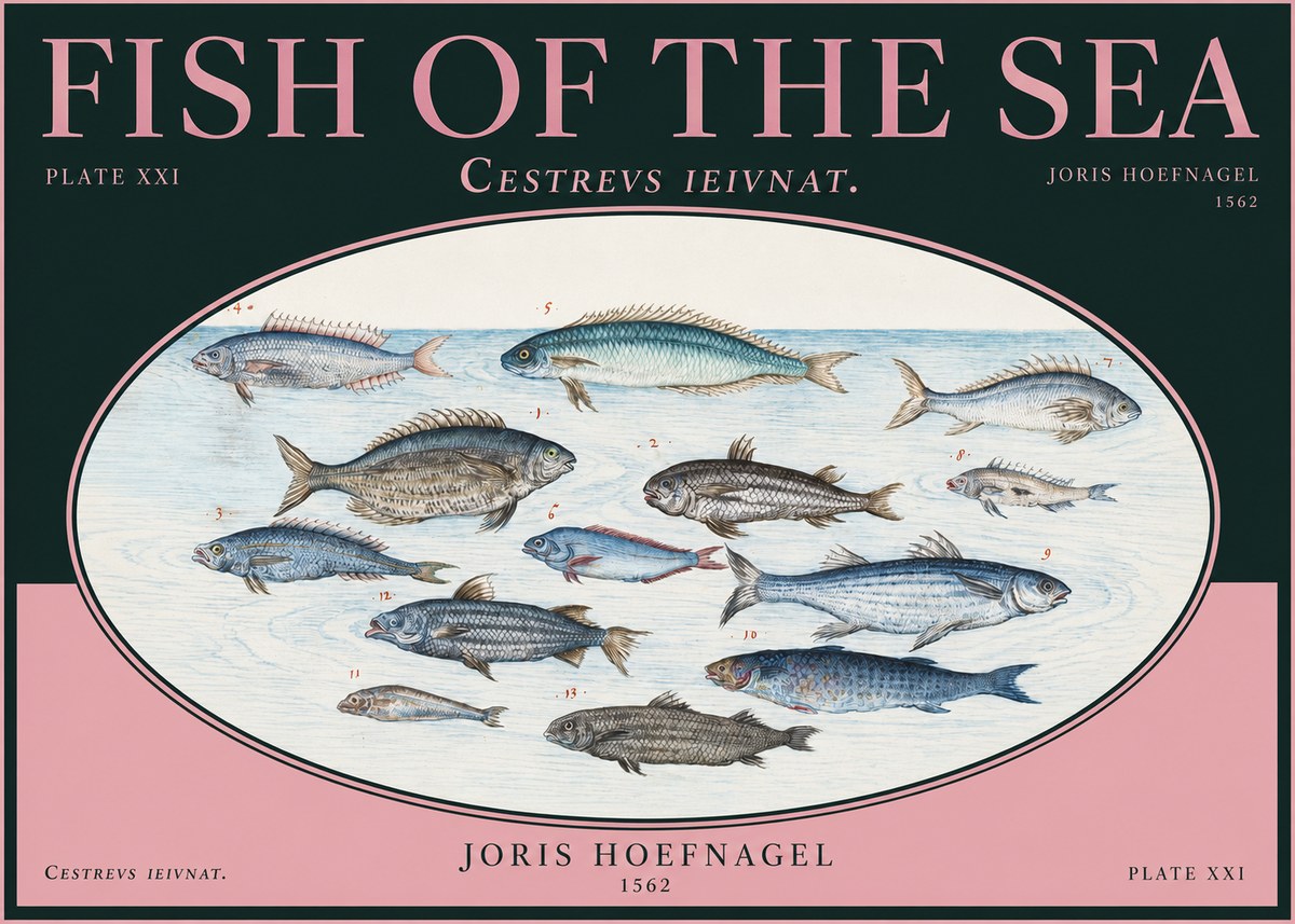 Joris Hoefnagel Fish of the Sea - Cestrevs Ieivnat. Plate Xxi No2 - Póster