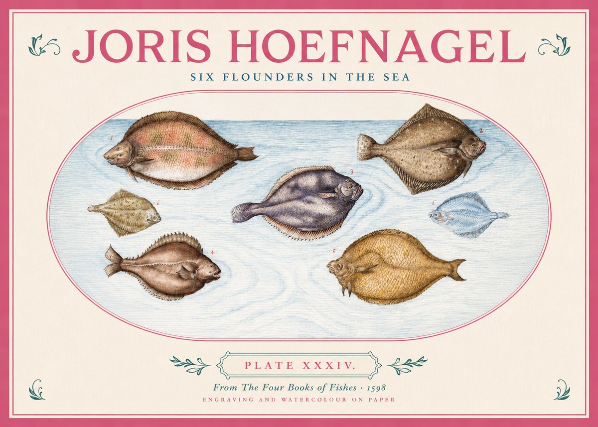 Joris Hoefnagel Six Flounders in the Sea No2 - Póster