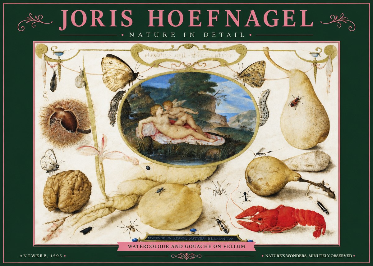 Joris Hoefnagel Nature in Detail No3 - Póster
