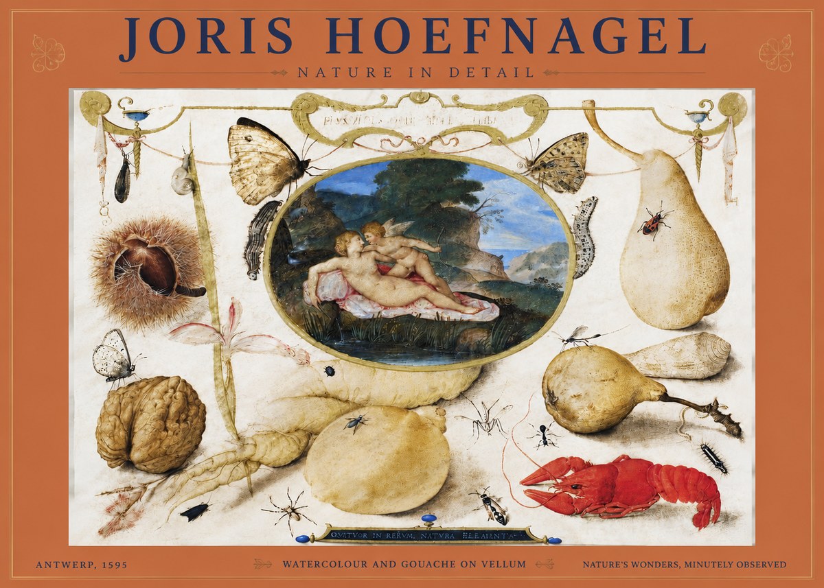 Joris Hoefnagel Nature in Detail No4 - Póster