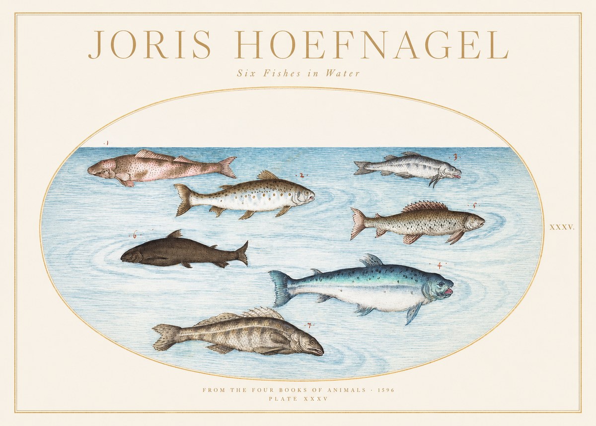 Joris Hoefnagel Six Fishes in Water I No1 - Póster