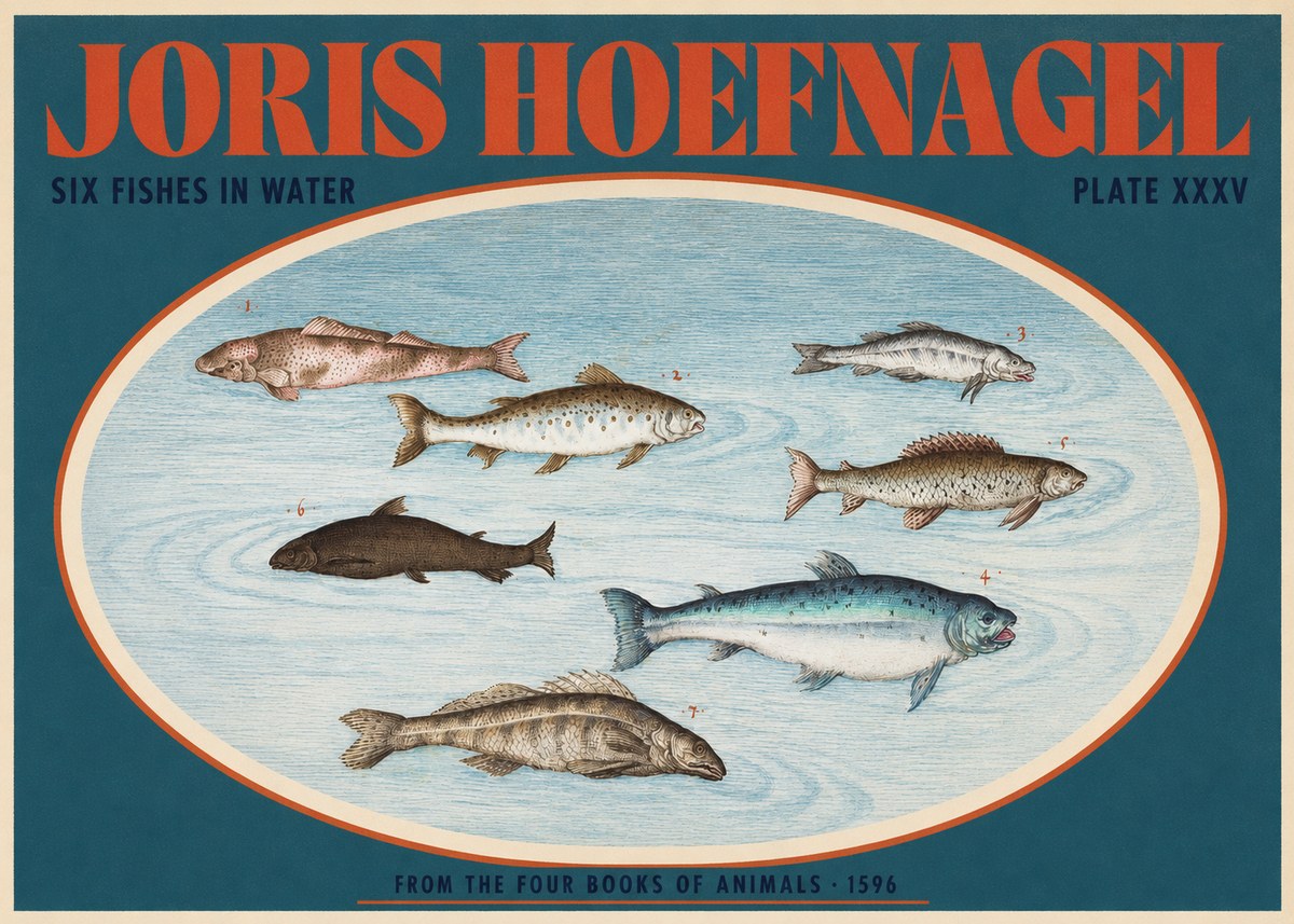 Joris Hoefnagel Six Fishes in Water I No2 - Póster