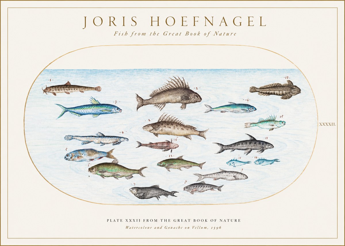 Joris Hoefnagel Fish from the Great Book of Nature No1 - Póster