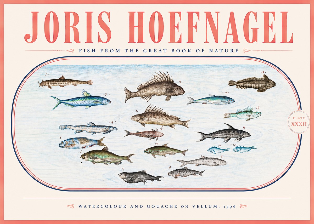 Joris Hoefnagel Fish from the Great Book of Nature No5 - Póster