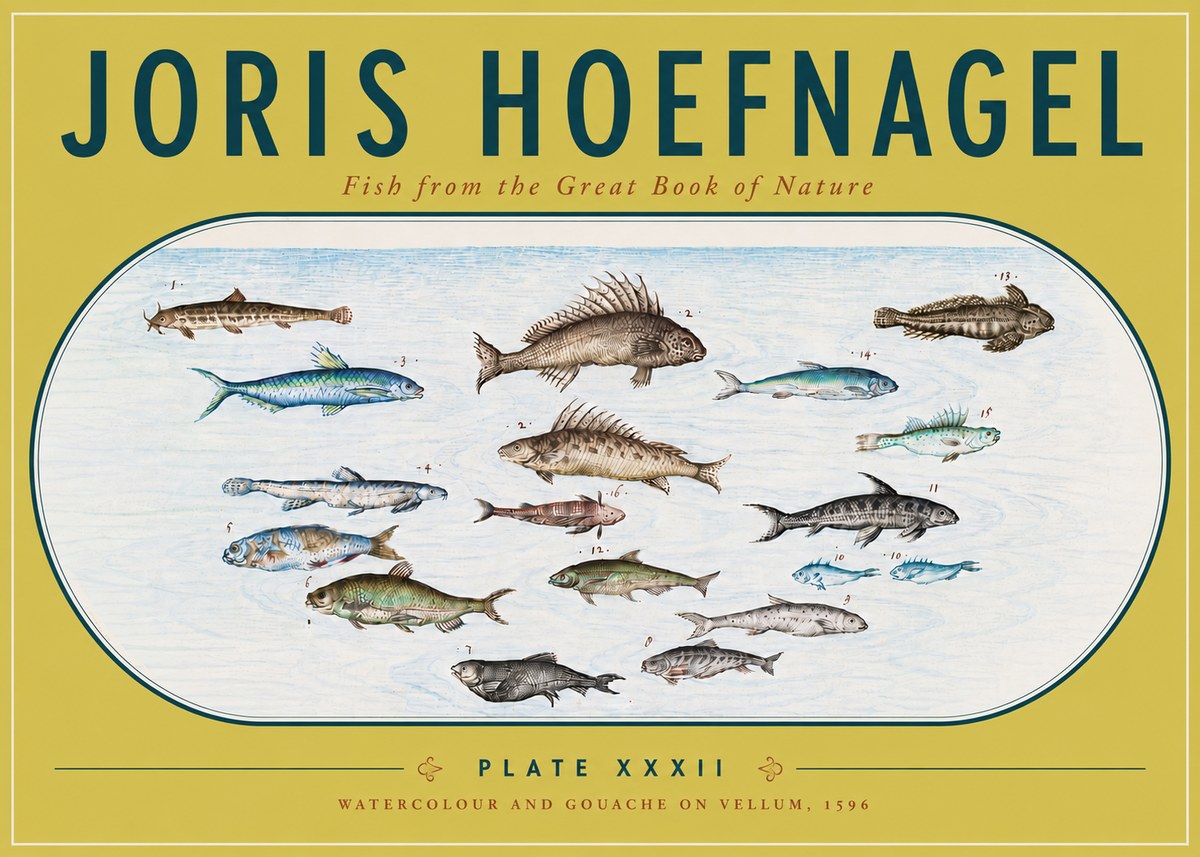Joris Hoefnagel Fish from the Great Book of Nature No6 - Póster