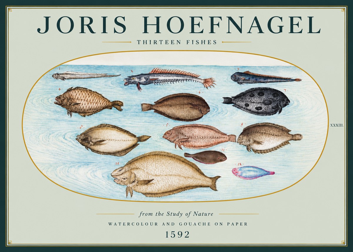 Joris Hoefnagel Thirteen Fishes from the Study of Nature No3 - Póster