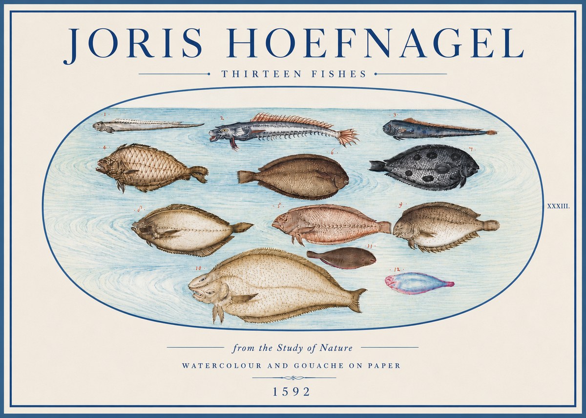 Joris Hoefnagel Thirteen Fishes from the Study of Nature No4 - Póster