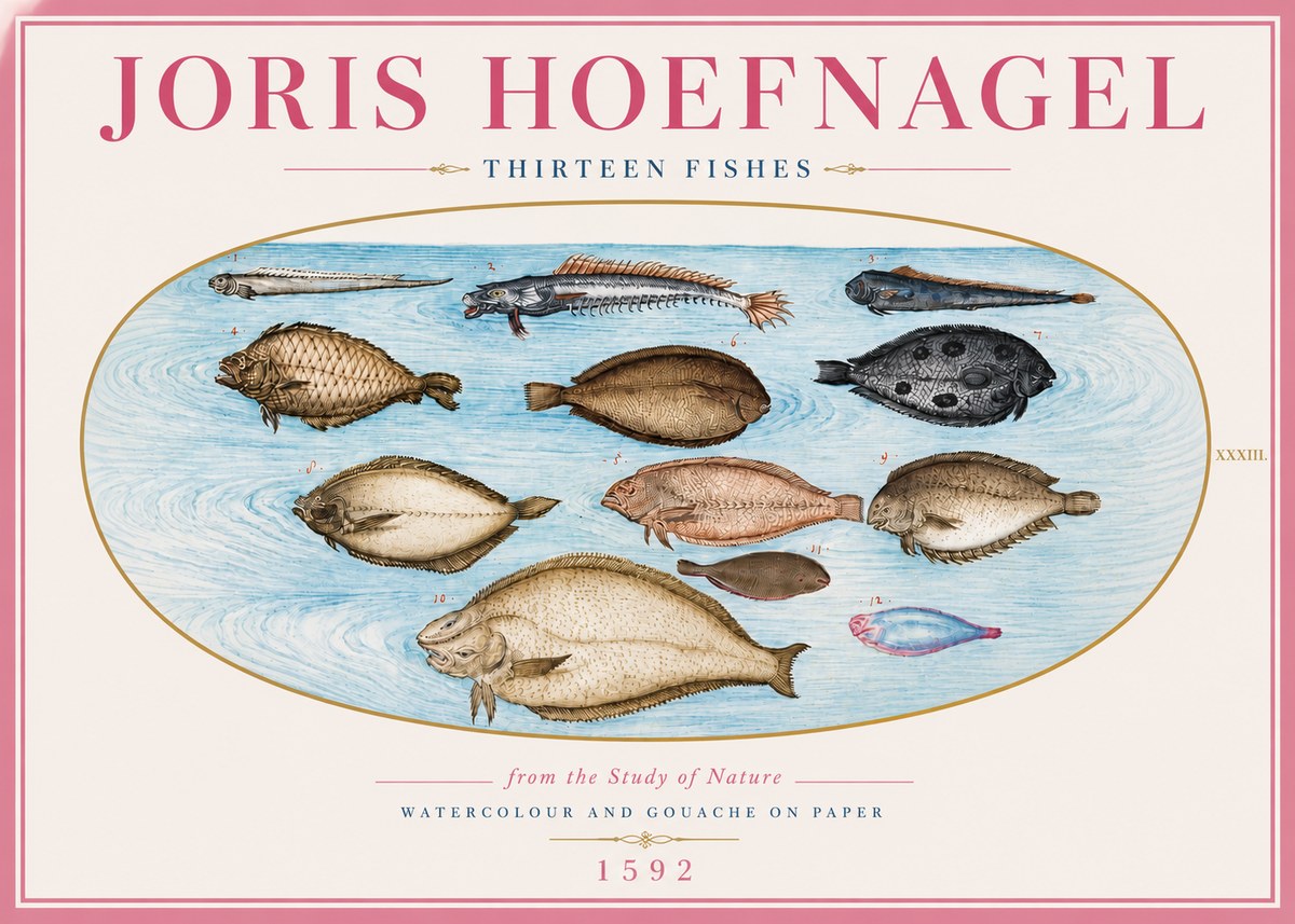 Joris Hoefnagel Thirteen Fishes from the Study of Nature No5 - Póster